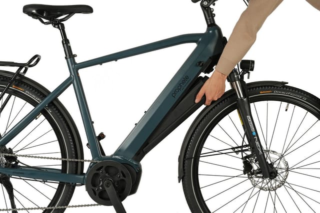 Prophete E-Bike Entdecker 4.8 RH54