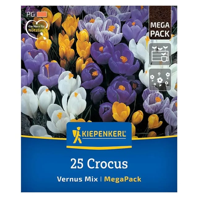 Kiepenkerl Herbstblumenzwiebel Mega-Pack Gartenkrokuse 25 Stück
