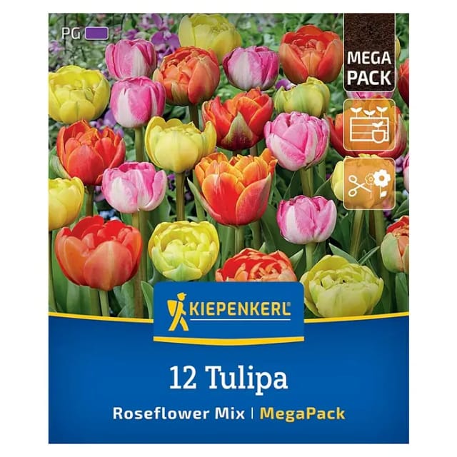 Kiepenkerl Herbstblumenzwiebelmischung Mega-Pack Gefüllte Späte Rosentulpen 12 Stück
