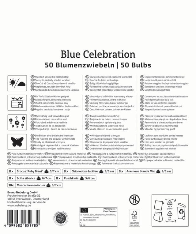 Kiepenkerl Herbstblumenzwiebelmischung Mega-Pack Blue Celebration 50 Stück