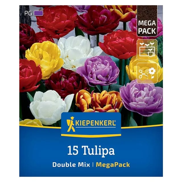 Kiepenkerl Herbstblumenzwiebelmischung Mega-Pack Gefüllte Tulpen 15 Stück