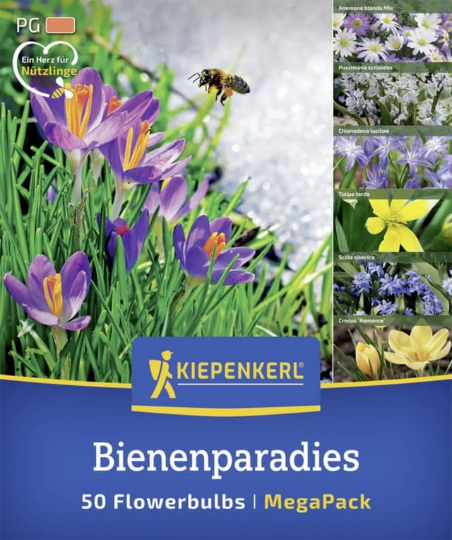 Kiepenkerl Herbstblumenzwiebelmischung Mega-Pack Bienenparadies 50 Stück