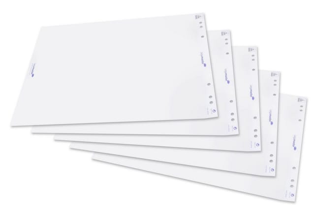 LEGAMASTER Schaschlikspieße Legamaster 7-156000 5er Flipchart-Papier blanko