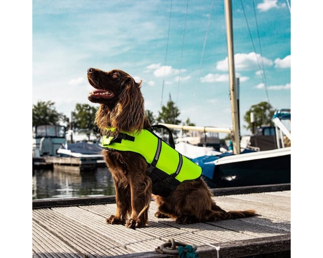 Nobby Schwimmweste Hunde Schwimmweste neongelb