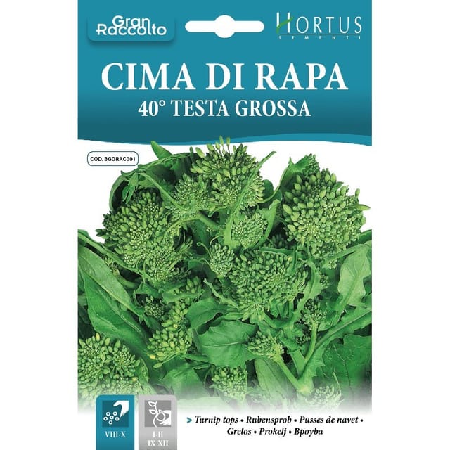 Cima Di Rapa 40 Testa Grossa - Schnellwüchsige Sorte Für Den Heimischen Garten