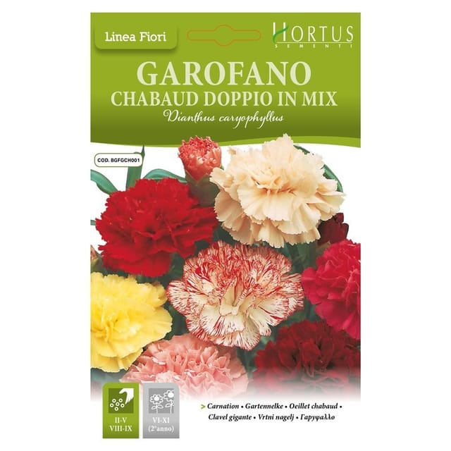 Garofano Chabaud Doppio Im Bunten Mix