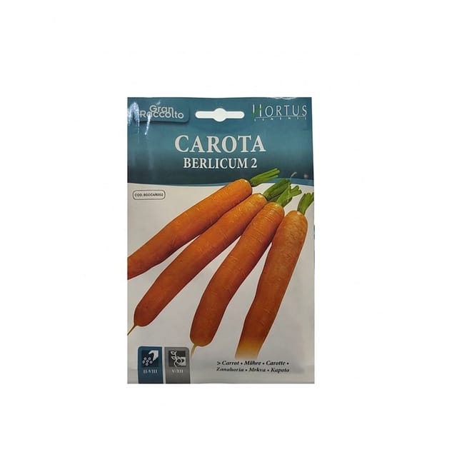 Karotte Berlicum 2 Gran Raccolto, Orange, Lang Und Süß