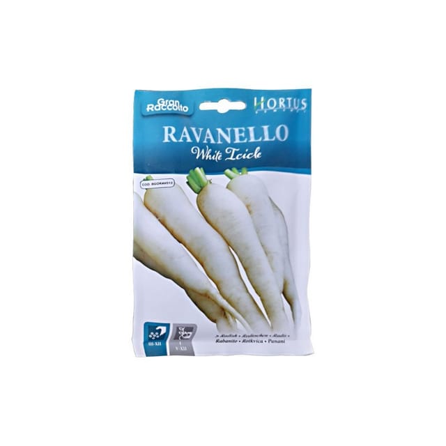Ravanello White Icicle - Schnellwüchsige, Weiße Sorte Für Frische Salate