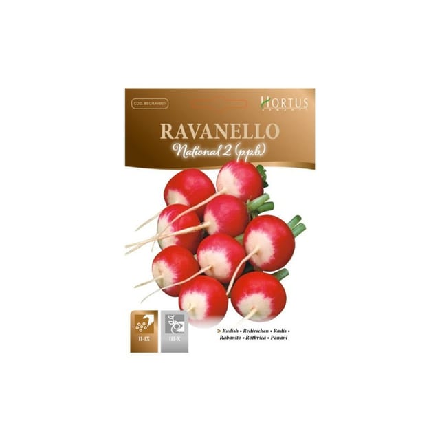 Ravanello National 2 P.p.b. Schnell Wachsend Und Aromatisch