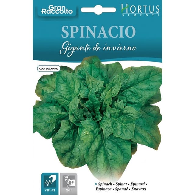 Spinazie Gigante D'Inverno - Robuste, Ertragreiche Sorte Für Herbst Und Winter