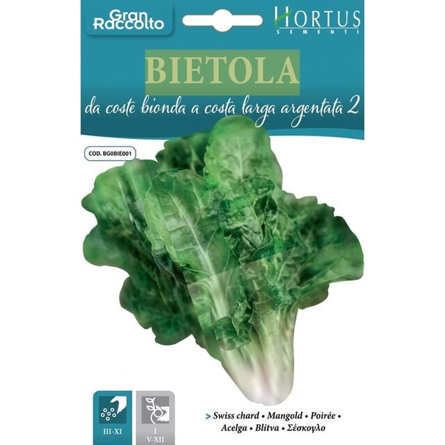 Bietola Da Coste Bionda Costa Argentata 2 Für Den Heimischen Garten