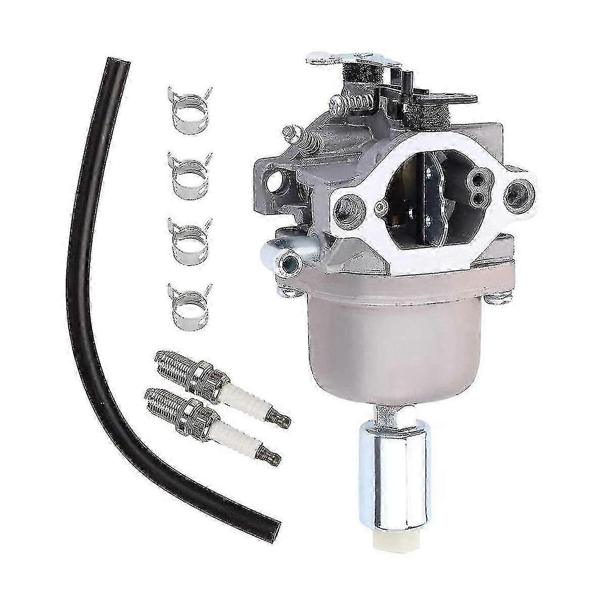 Briggs & Stratton 13,5 Ps Vergaser-reparatursatz (591731, 796109, 594593 Usw.) Ausgabe 0618