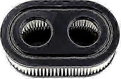 Luftfilter Und Zündkerze Für Briggs & Stratton 500, 500e, 550e, 550ex, 575ex, 625e, 675, 625ex, 675ex, 6. Auflage 0619
