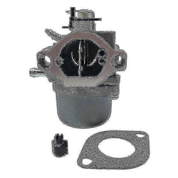 Briggs & Stratton 12,5 Ps Motorvergaser Vergaser 799728 - Ersatzteil Edition 0617
