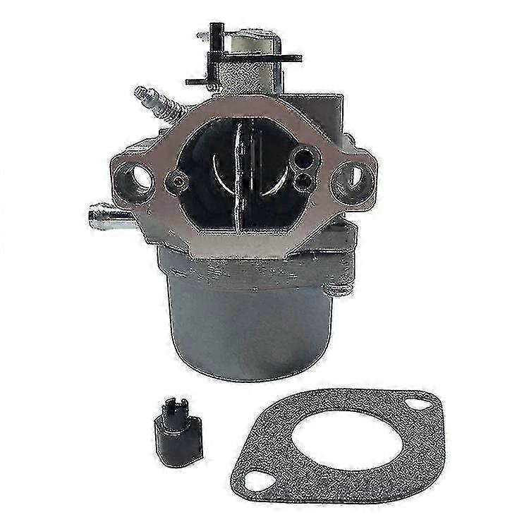 Briggs & Stratton 12,5 Ps Motorvergaser Vergaser 799728 - Ersatzteil Edition 0725