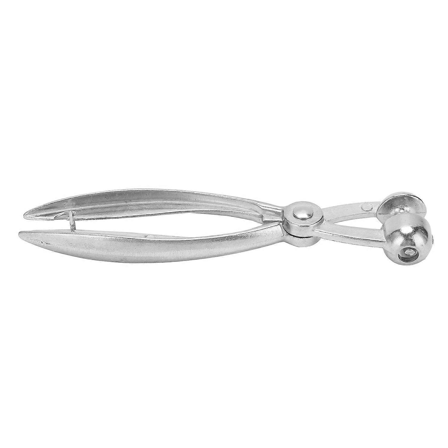 Kirschentsteiner, Olivenkernentferner, Handwerkzeug Aus Aluminiumlegierung, Küchengeräte