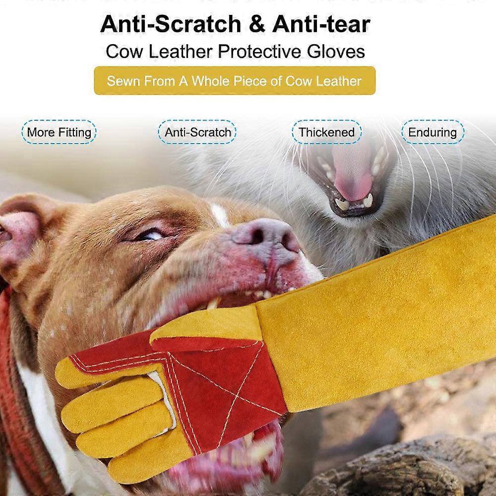 Tierhandschuhe, 60 Cm (23,6 Zoll), Bissfest, Aus Leder, Für Katzen, Hunde, Vögel, Schlangen, Mehrzweck