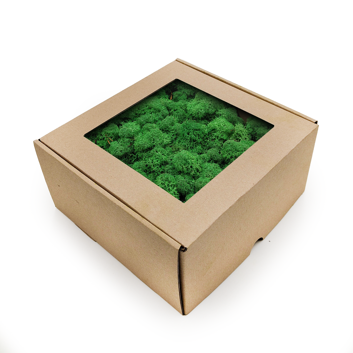 Rentierflechte – Norwegen – Schattengras 50 G Netto