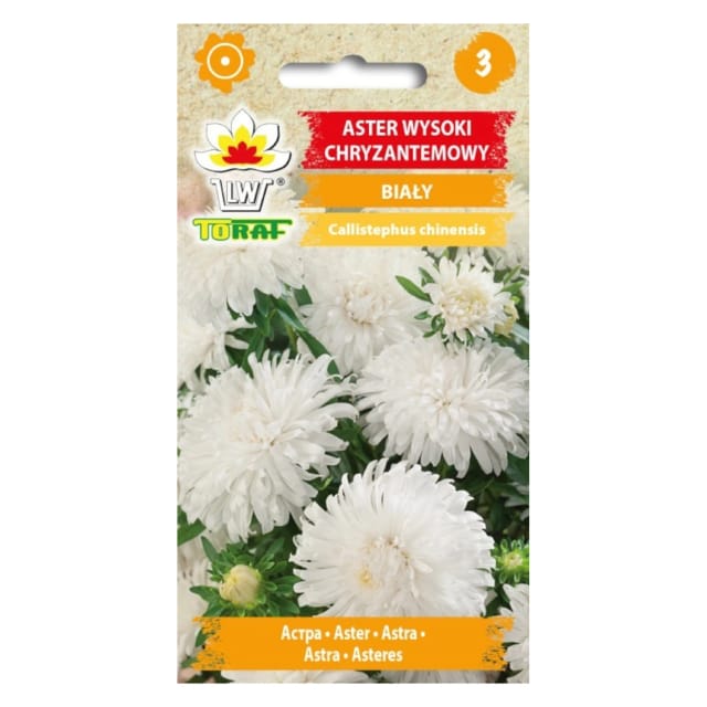 Aster Hohe Chrysantheme Weiß 1g