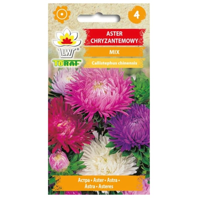 Chrysanthemen-aster-mix 1 G