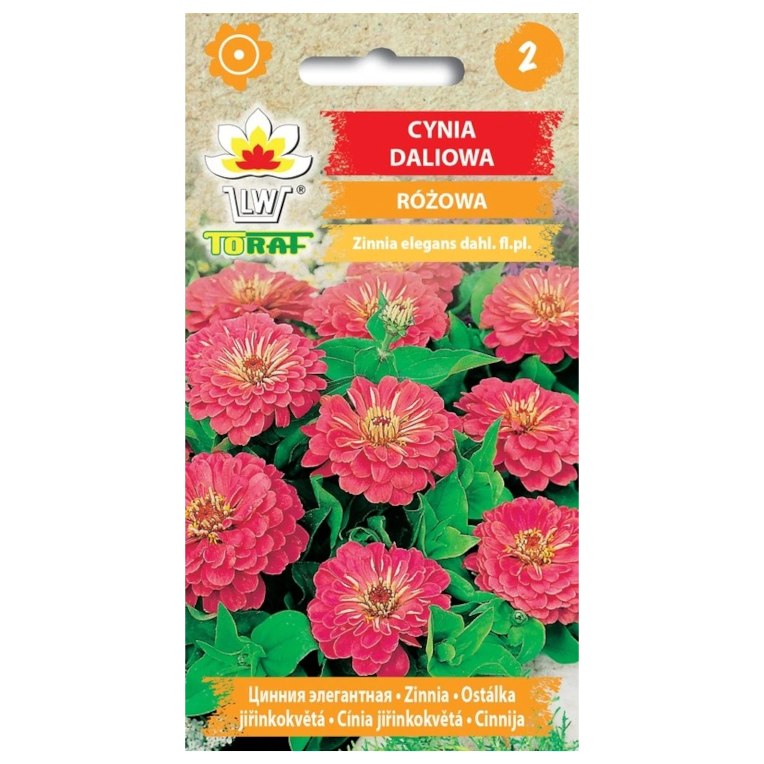 Rosa Dahlie Zinnie 1g