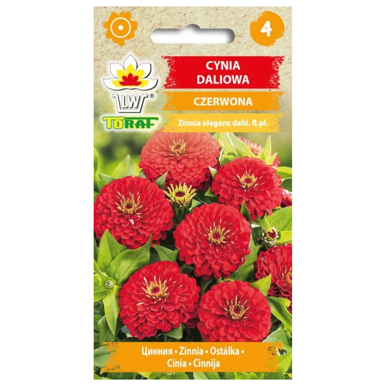 Rote Dahlie Zinnie 1g