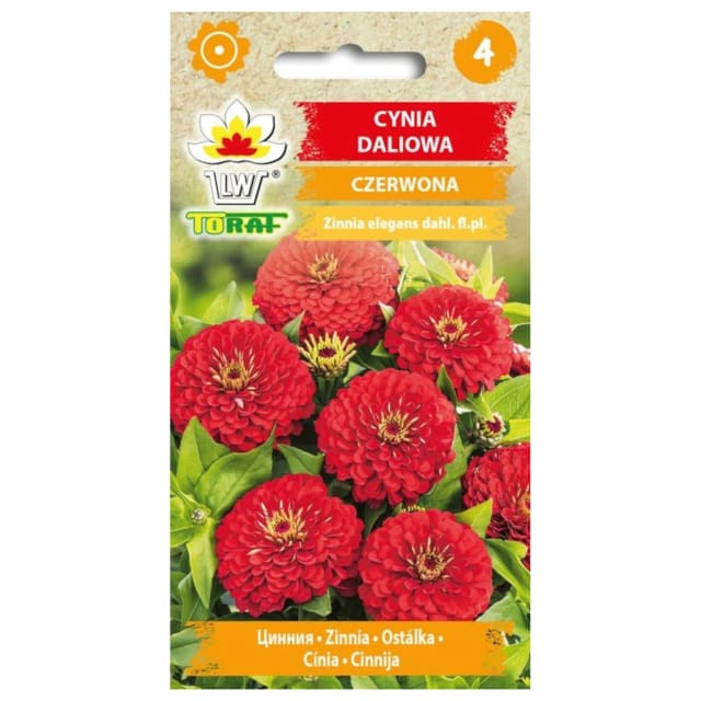 Rote Dahlie Zinnie 1g