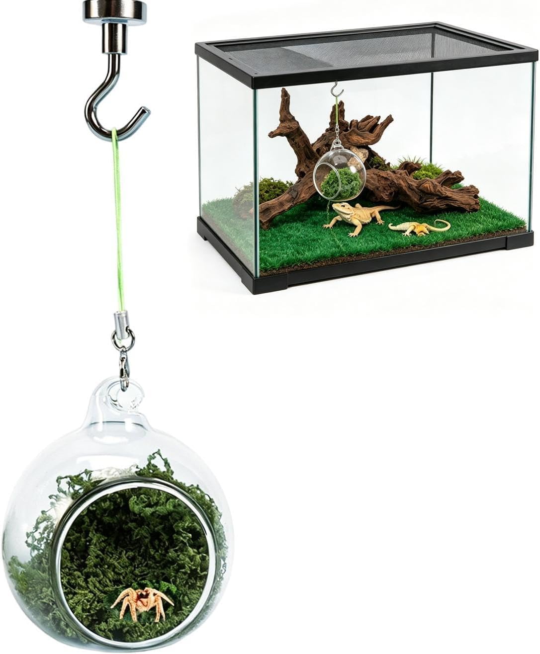 Springendes Spinnenhaus Magnetische Ruhehängematte Habitat Hideout Hängematte Für Springspinne – Terrarium, Amphibien, Käfer, Nashorn, Eidechse, Schildkröte, Drinnen Und Draußen