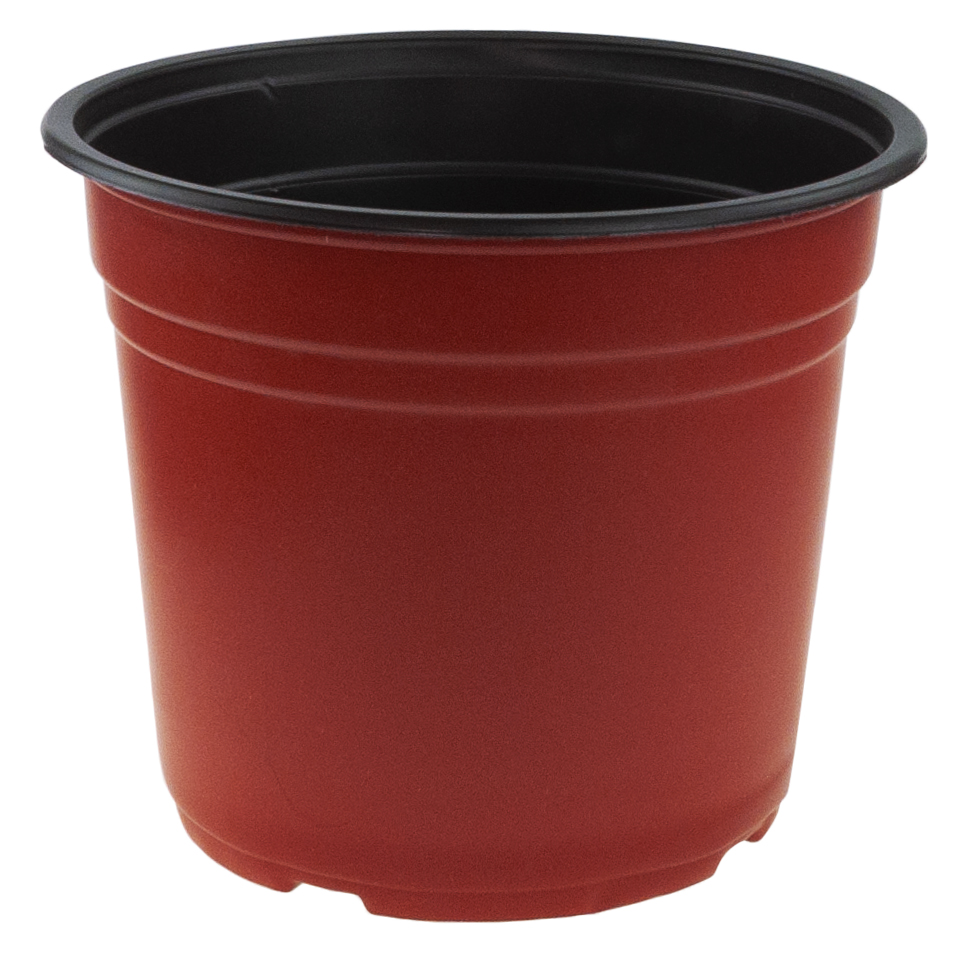 Tg67337 Anzuchttopf P19 3l Rund Für Sämlinge Mit Rand 19x16cm