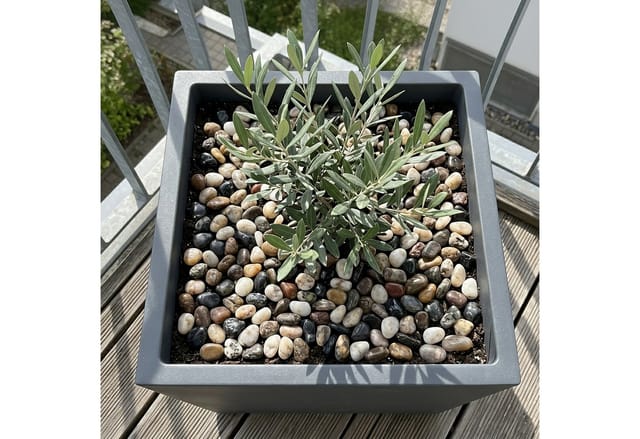 Relaxdays Flusskiesel, 2 Kg, Dekosteine Garten & Aquarium, Flusskiesel Mix, 2-4 Cm, Poliert, Zierkies Flach, Mehrfarbig