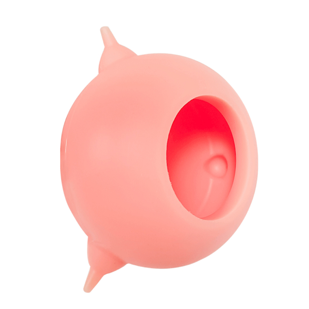 Silikon-set Für Welpen Und Kätzchen: Fläschchen Mit 3 Saugern, Beißring Und Futternapf (1 Fläschchen), Hautfarbenes Rosa