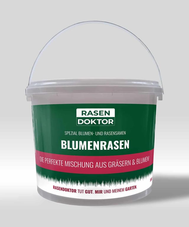 Blumenrasen - Gräser & Blumen in perfekter Mischung