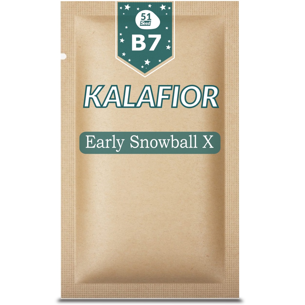 51 Seed B07 Cauliflower Early Snowball X 1g