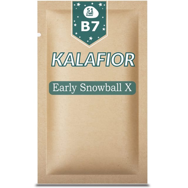 51 Seed B07 Cauliflower Early Snowball X 1g