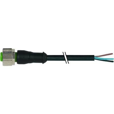 Murrelektronik 7000-12181-6130500 Schwarzer 3-poliger Stecker 5 M
