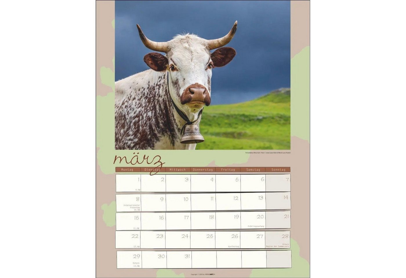 Wandkalender Kuh Kalender 2027 Bild 2