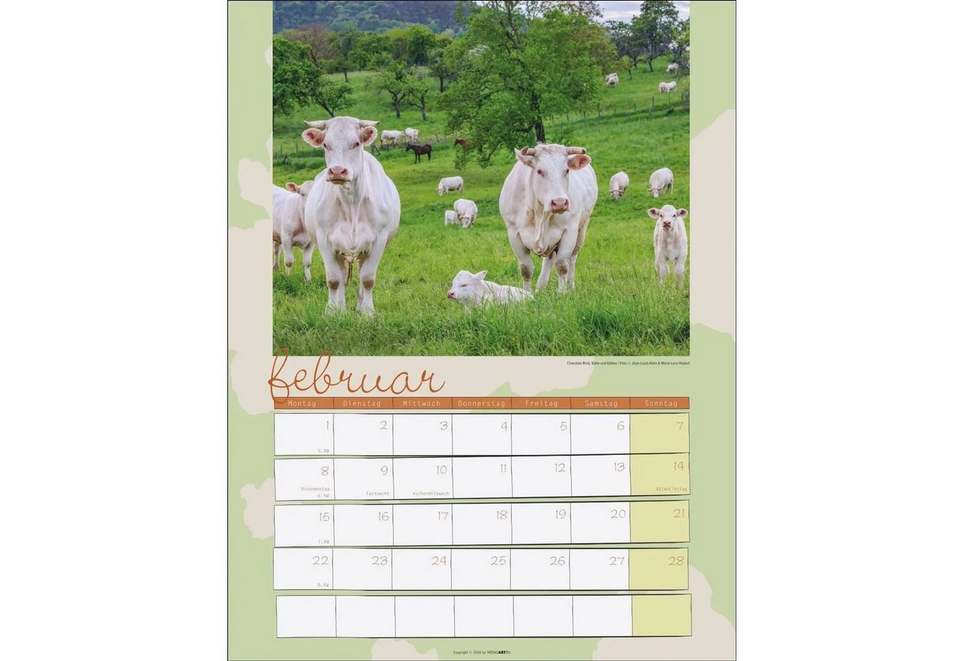 Wandkalender Kuh Kalender 2027 Bild 5