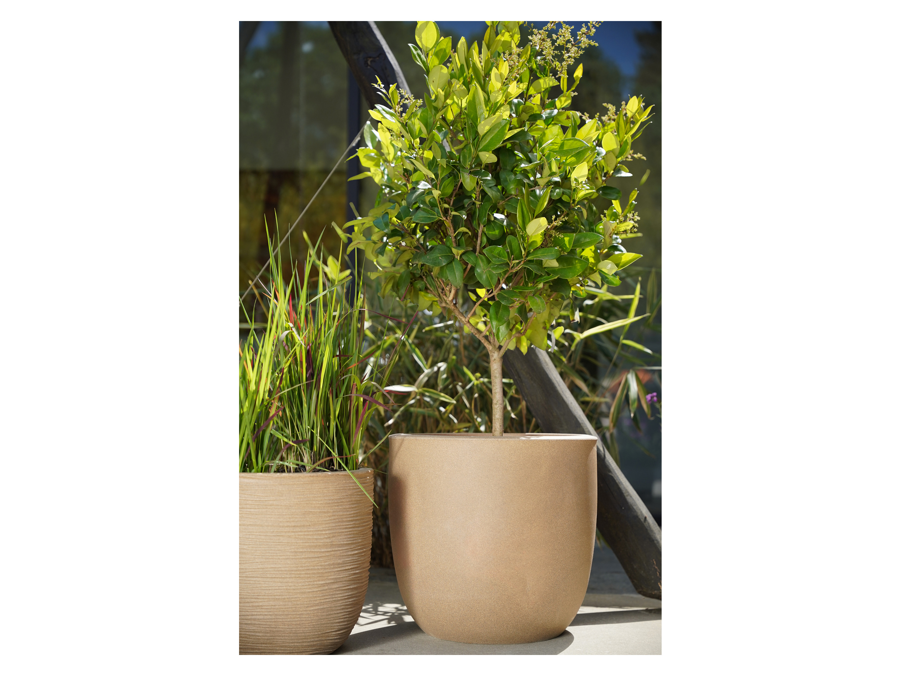 CAPI EUROPE Blumentopf, kugelförmig (35 x 34 cm, Beige) Bild 2
