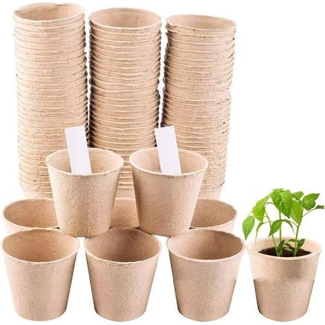 Packung Mit 50 Biologisch Abbaubaren 6-cm-anzuchttöpfen Für Sämlinge, Keimung, Anzucht, Innen- Und Außenbereich
