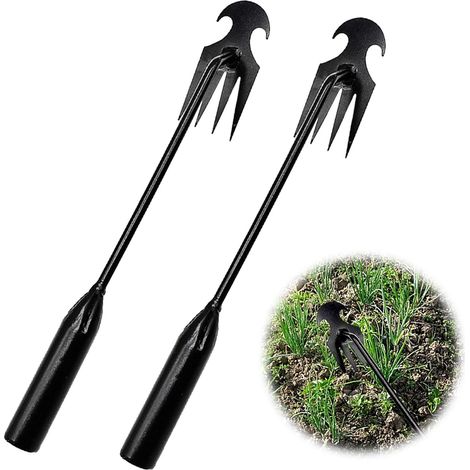 Set Aus 2 Manuellen Unkrautstechern Aus Stahl Mit Langen Griffen. Gartengerät Zum Entfernen Von Unkraut.