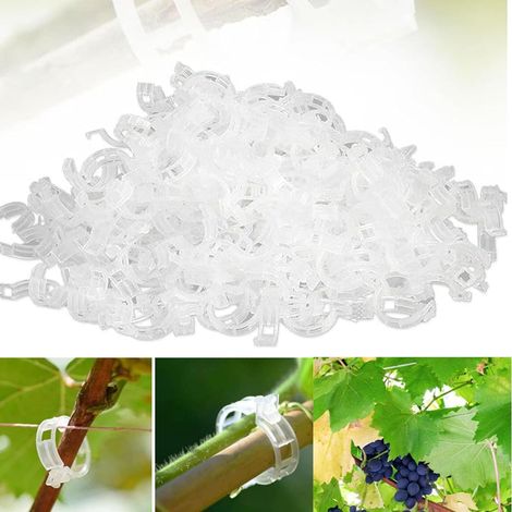 (100, Transparente) Pflanzenstützen, Tomatenstützen, Stützclips Für Gartenpflanzen, Clips Für Gemüse, Tomatenranken, Stängel Für Gerades Und Gesundes Wachstum