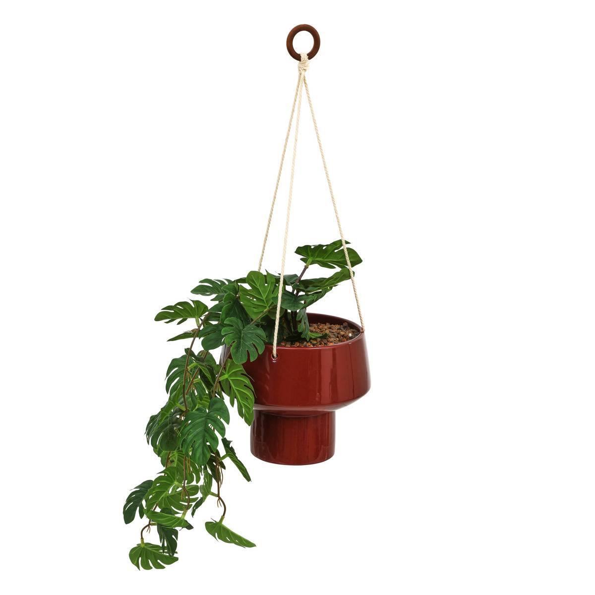 Hängepflanze Homy H. 80 Cm -