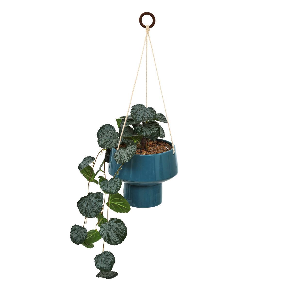 Hängepflanze Homy H. 80 Cm - Blau