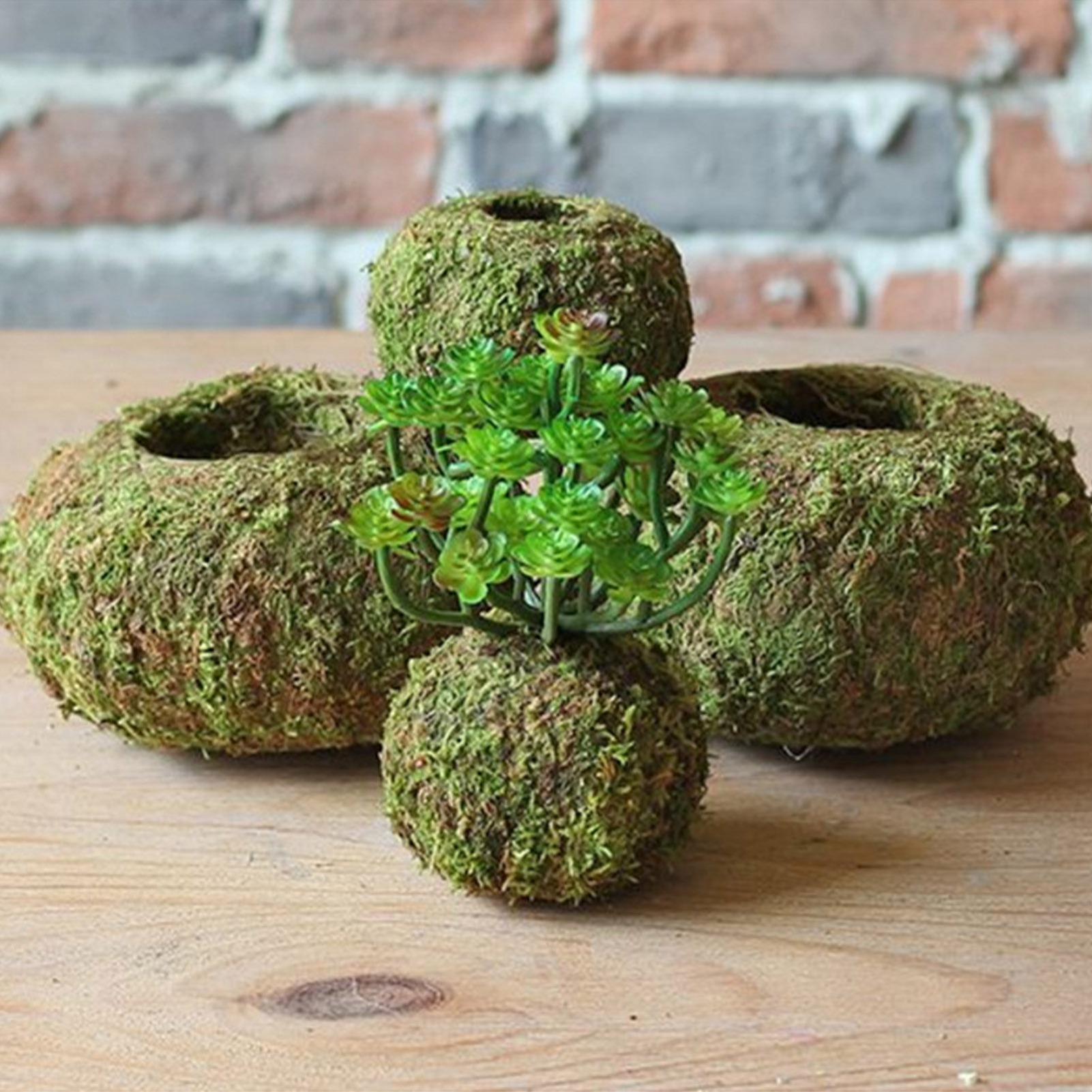 Japanisches Kokedama, 1 Stück, Naturmoos Für Den Garten, Moos-pflanztopf (außendurchmesser 7 Cm, Innendurchmesser 3 Cm), Material: Moos + Dünner Draht