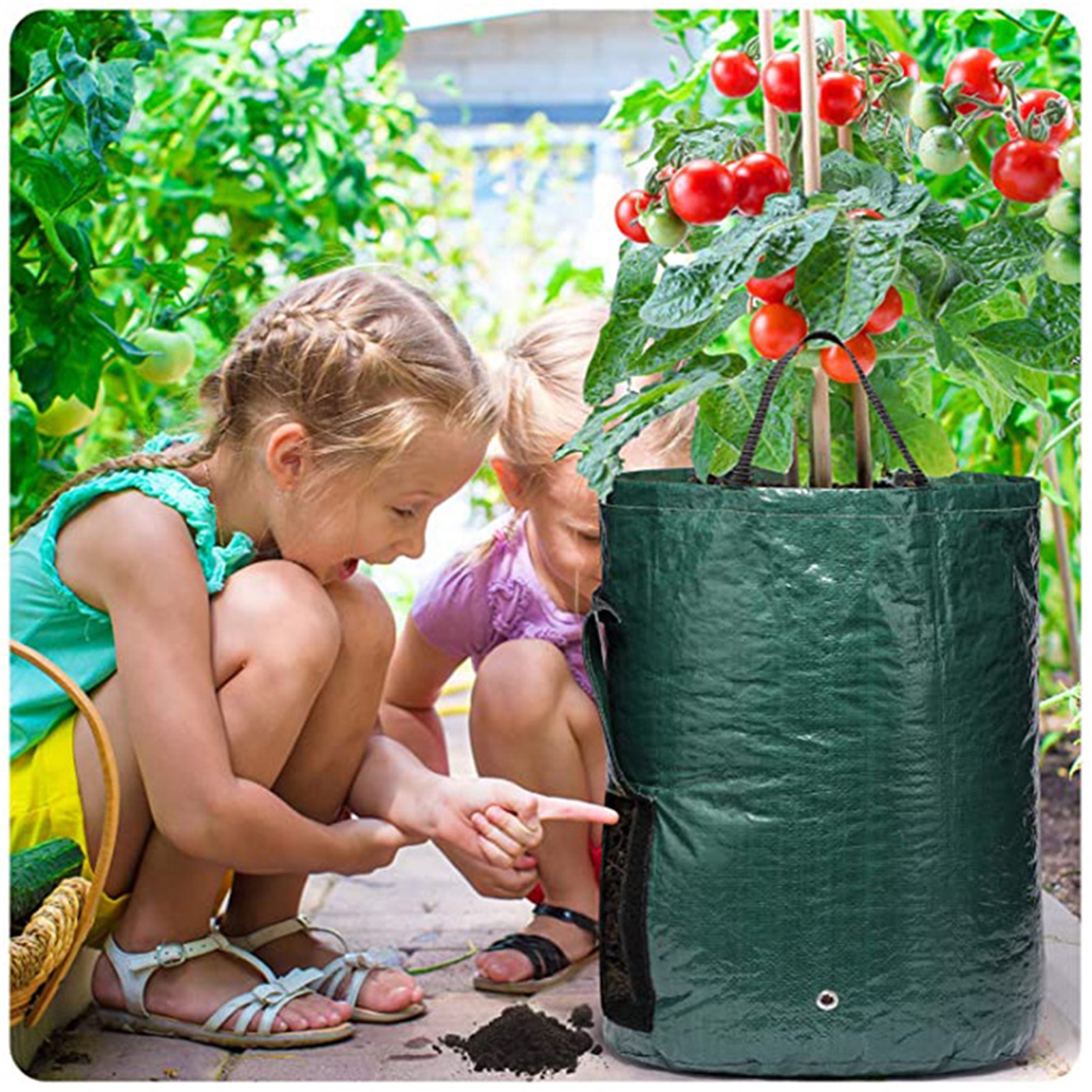 Pflanzsack Aus Polyethylen Mit Sichtfenster Für Kartoffeln, Tomaten Und Gemüse – Dunkelgrün, 5 Gallonen, 23 X 28 Cm, Schnelle Lieferung