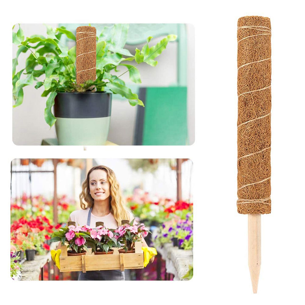 Kletterpflanzenstütze Aus Kokosfaser, Ausziehbarer Efeustab, 50 Cm Lange Gartenstütze Mit Stapellöchern, 2er-set