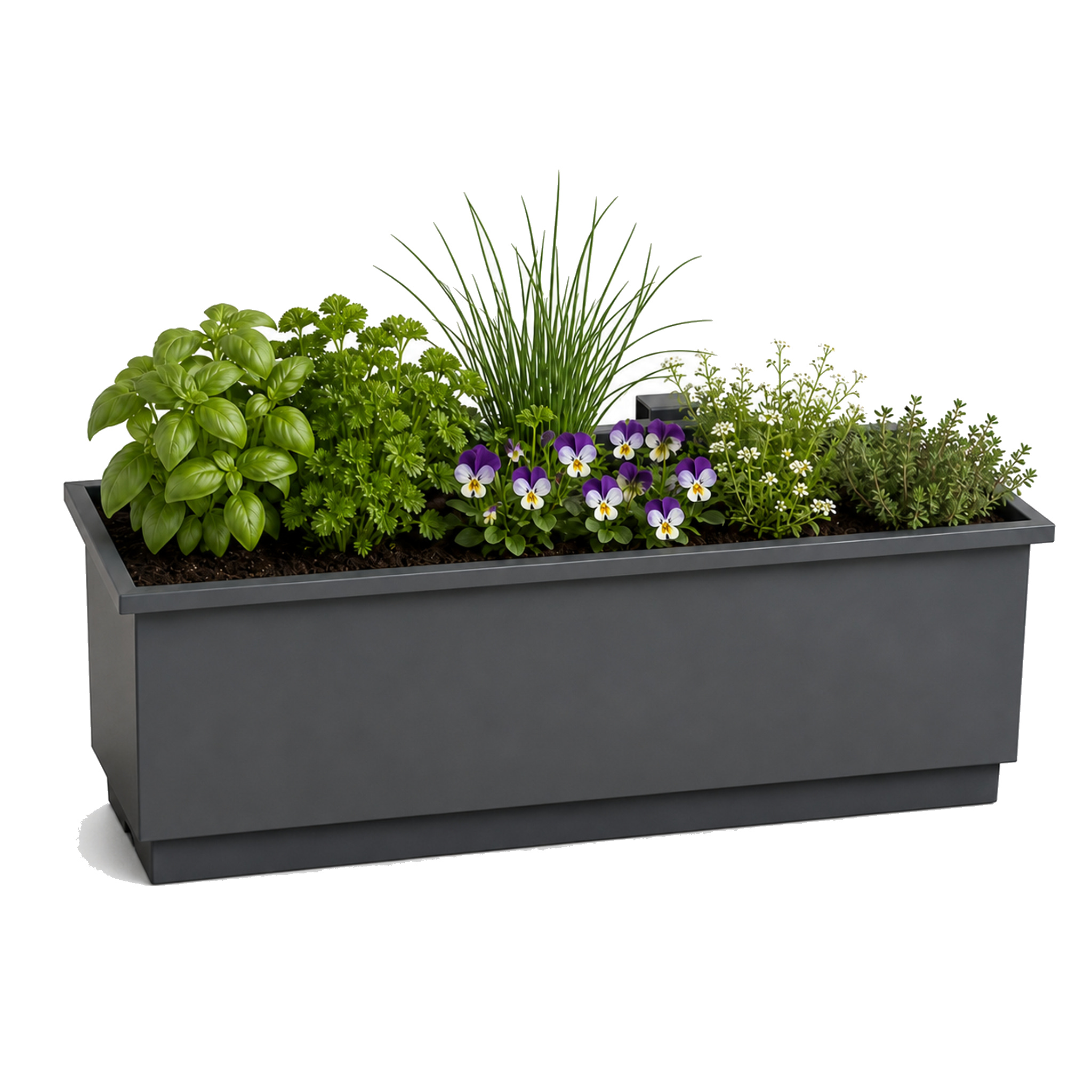 Balkonkasten Viola Metall-balkonkasten Mit Auffangschale Für Balkon & Geländer