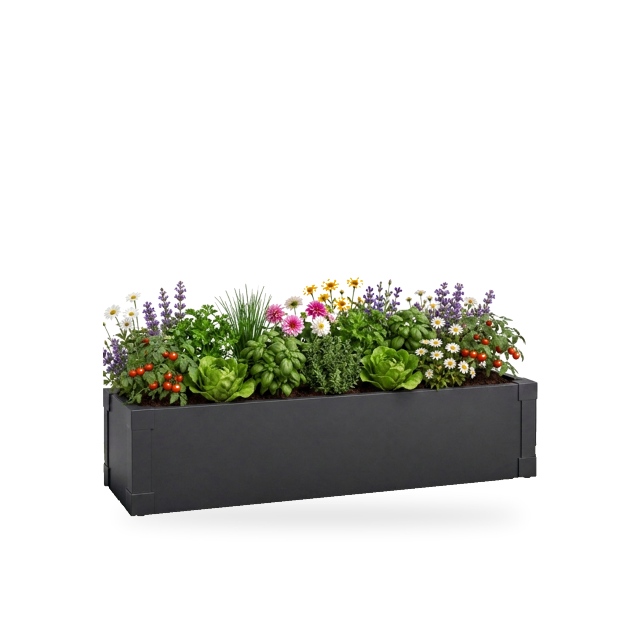 Moestuinbak Andros Smalle Metalen Verhoogde Plantenbak In Antraciet Voor Balkon, Terras & Tuin 100 × 25 × 27 Cm