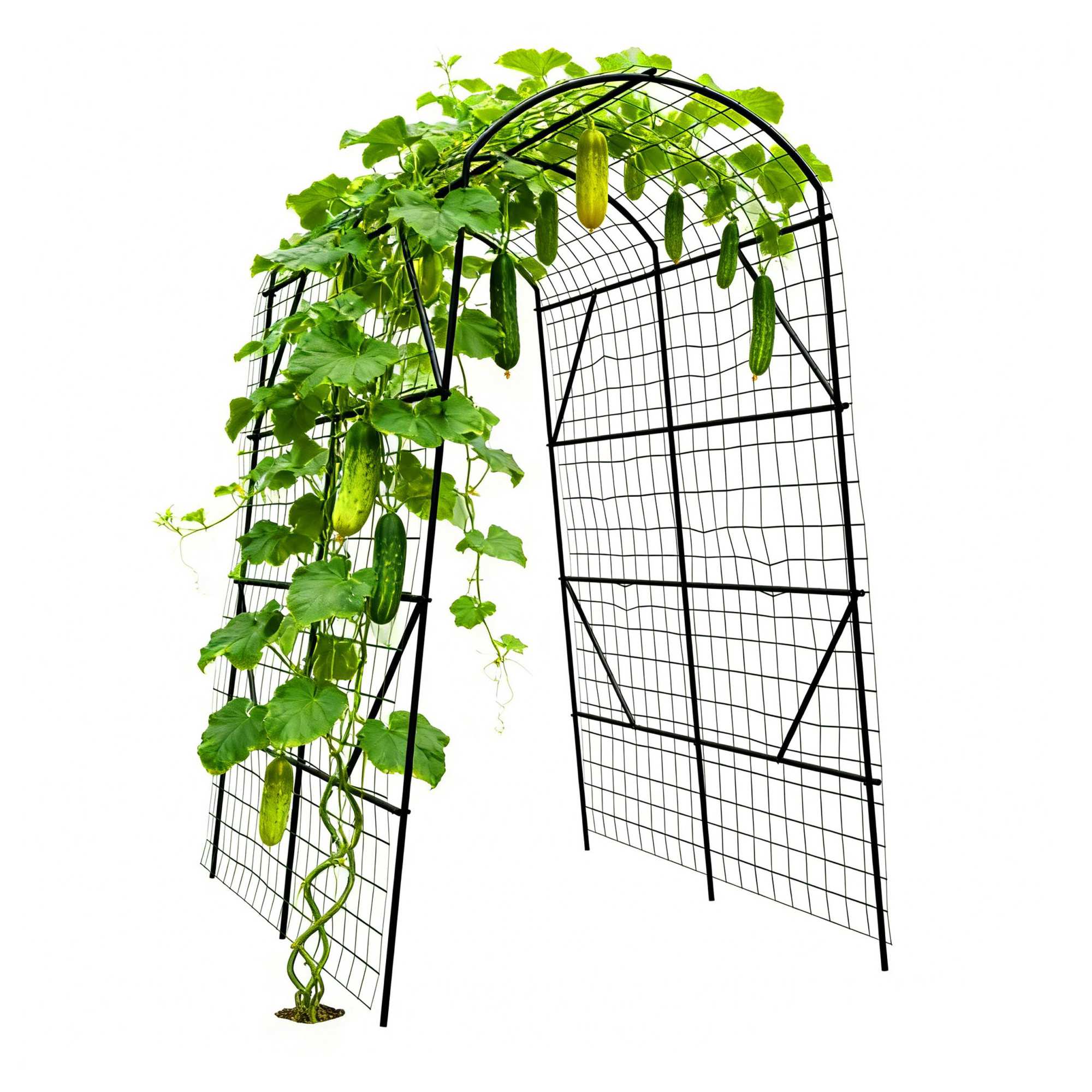 Cucumber Trellis Arch With Net, 230x140x198 Cm
