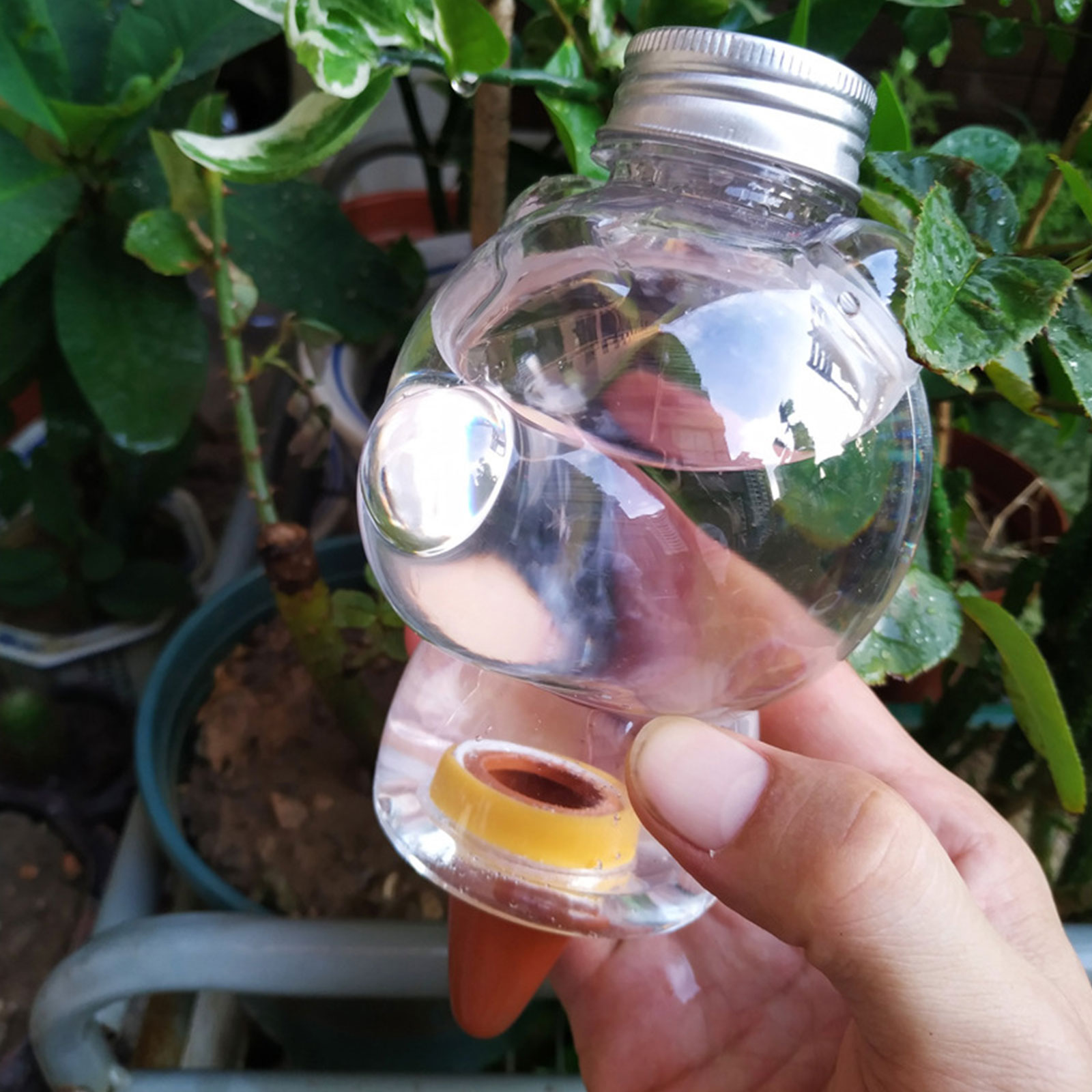 Automatischer Pflanzenbewässerer In Bärenform Aus Glas, Bewässerungsgerät Für Drinnen Und Draußen